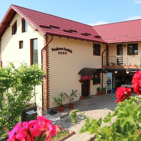 Pensiunea Luminita Mustatesti Екстер'єр фото