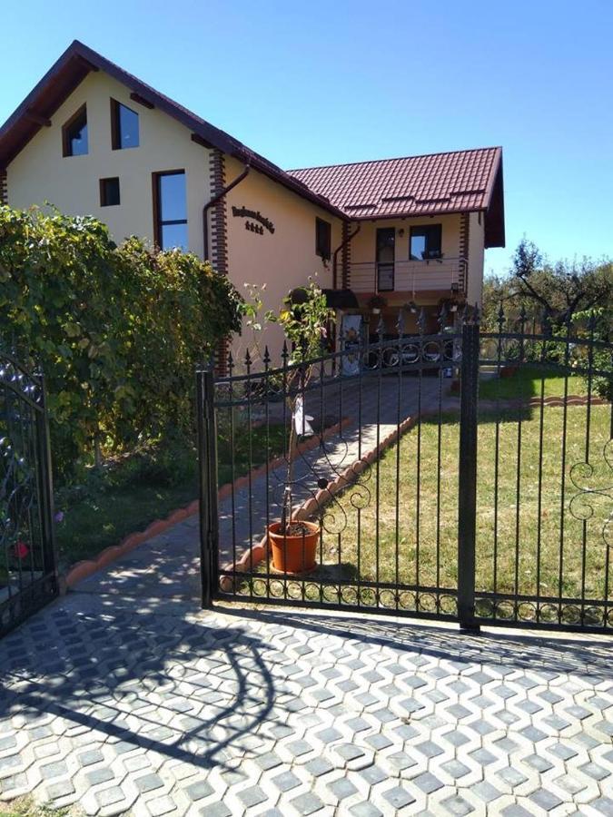 Pensiunea Luminita Mustatesti Екстер'єр фото
